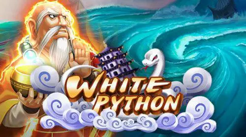 White Python - Spin City - Congo